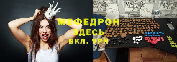 индика Балахна
