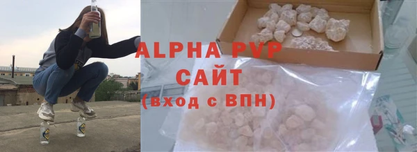 крисы Баксан