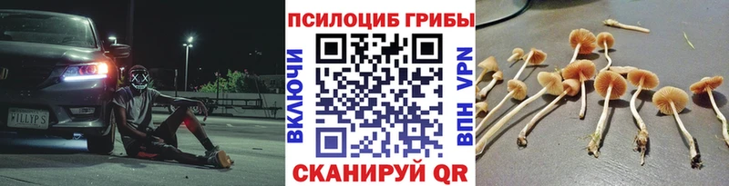 Галлюциногенные грибы GOLDEN TEACHER  Большой Камень 